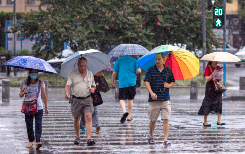 台风过后深圳天降生蚝