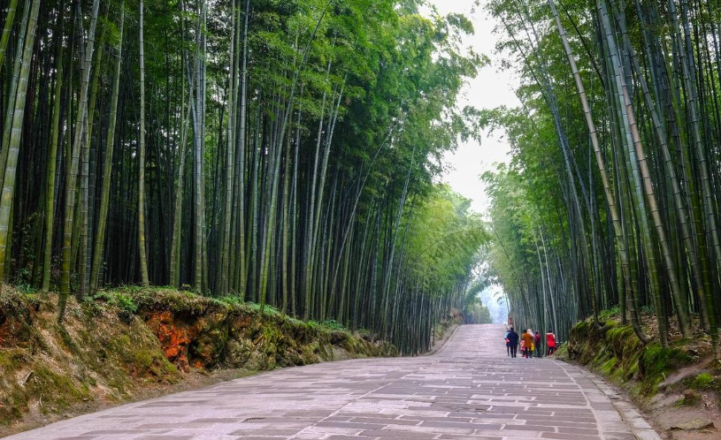 四川旅游必去十大景点推荐,云南旅游必去十大景点推荐。