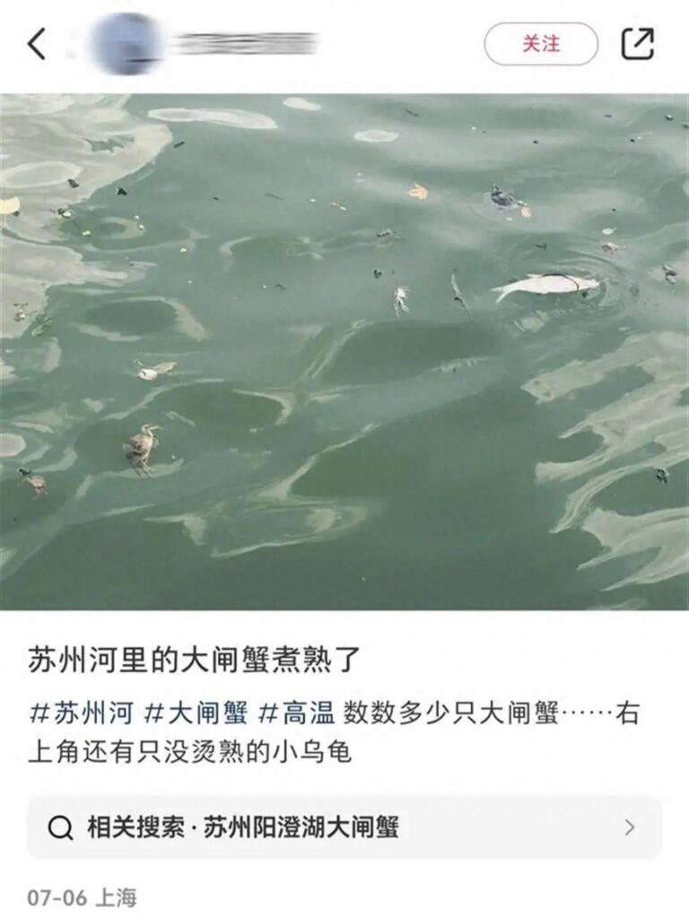 官方回应苏州河大闸蟹被煮熟，苏州大闸蟹是淡水还是海水