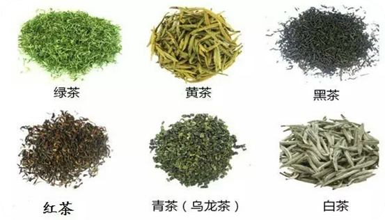 铁观音和绿茶哪个好一点,铁观音和绿茶一样吗?