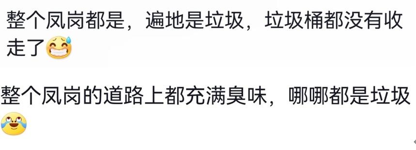 官方回应环卫工降薪停工致垃圾遍地，环卫工人工资涨了吗？