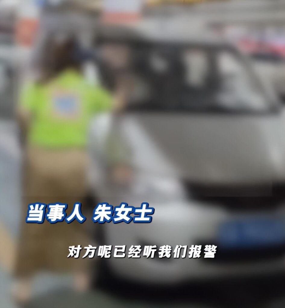 女子因狗窜入车底受伤持砖砸车砸人，砸车救狗