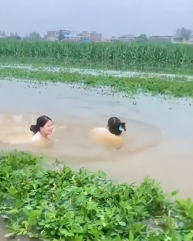 河南南阳多日大雨车主纷纷架高车辆，河南南阳遭遇强降雨