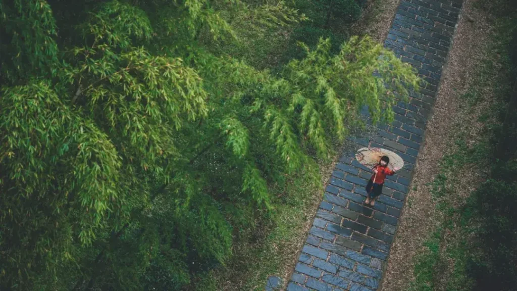 春天的词语和句子