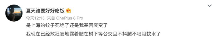 40°C的天，蚊子都热死了！这是真的吗？