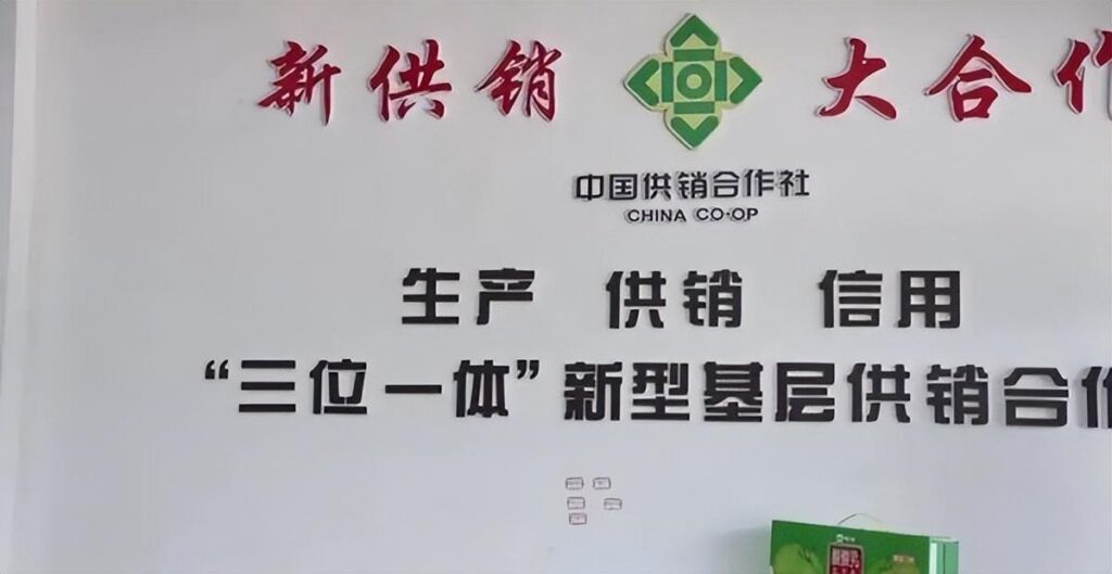 供销社重新走红，释放什么信息？将引发何种巨变？