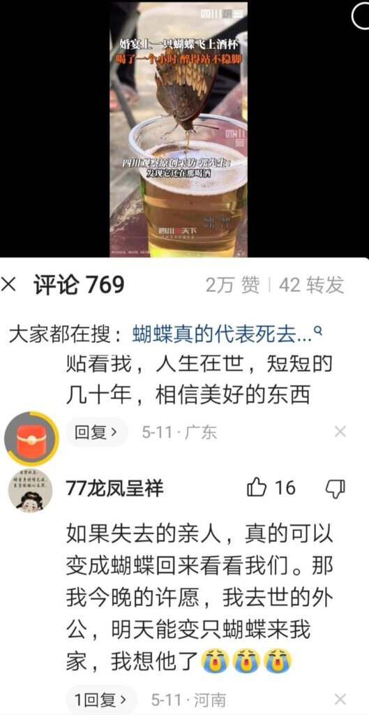 酒席宴上蝴蝶醉酒，家人解释是死去的爷爷化蝶恋杯“醉”饮