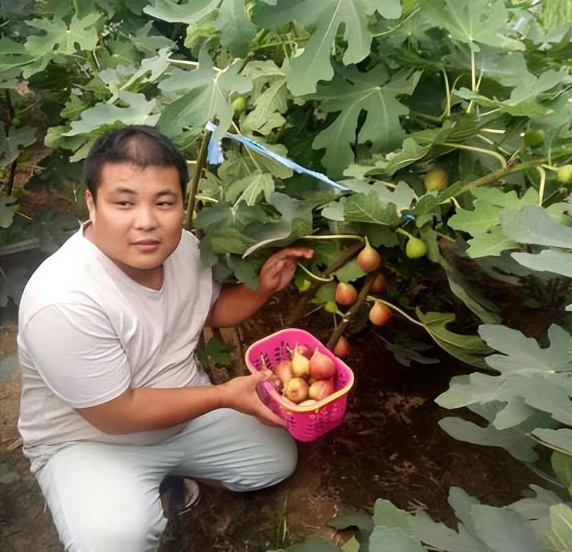 现在农村种植什么最赚钱，未来2年在农村种植什么利润高?