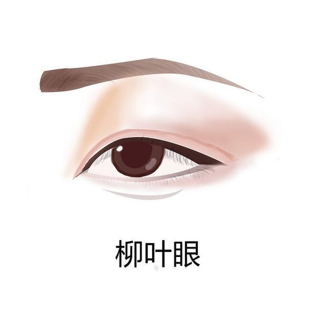 13种眼型,你是其中的哪一种?快来看看有你的眼型吗？