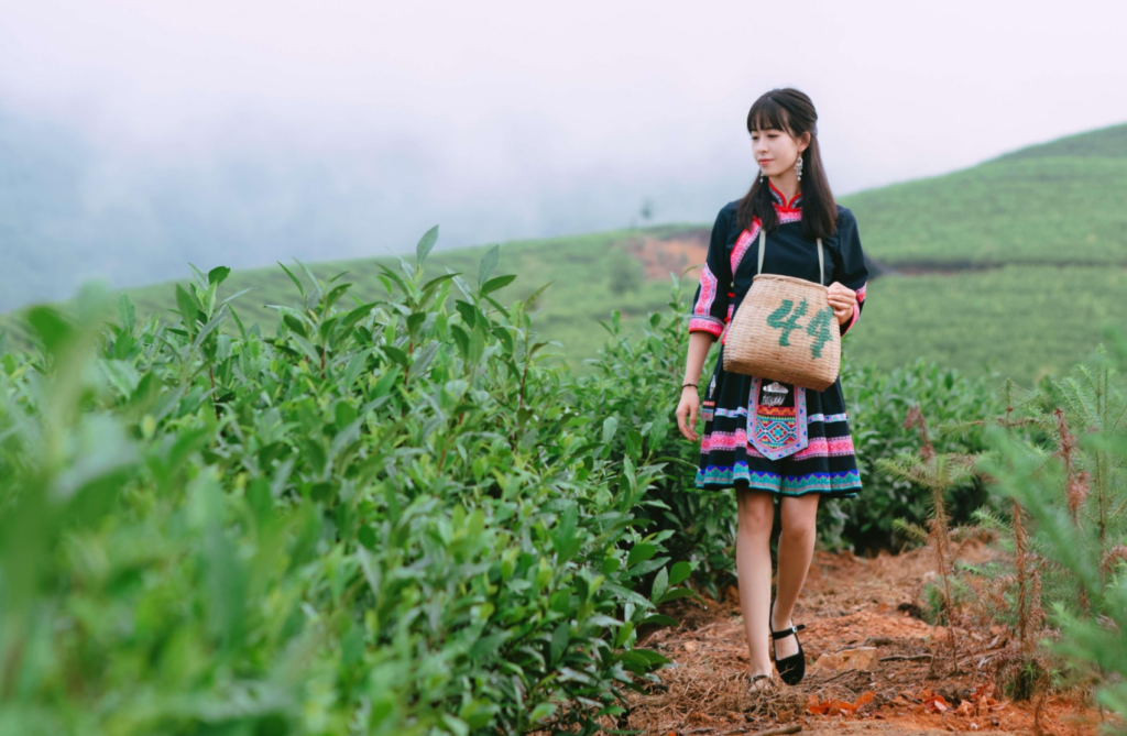 江华这里的瑶茶,喝完解千愁,你来喝过吗?