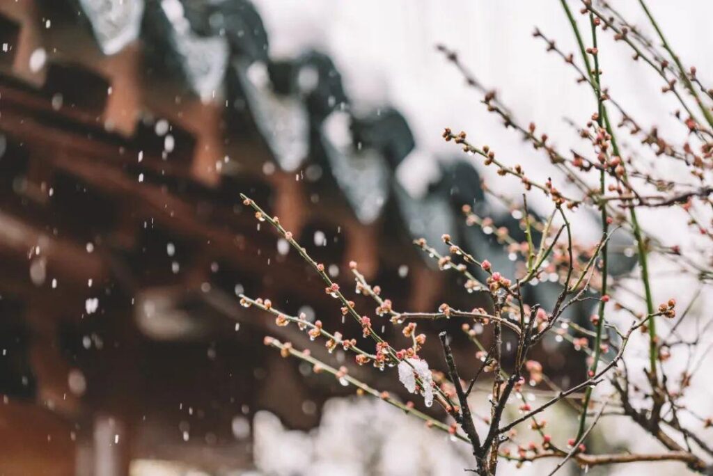 下雪天才能发的朋友圈文案，每一句都是浪漫唯美，拿走不谢