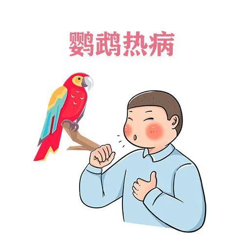 鹦鹉热是什么病?还能好好遛鸟儿吗?