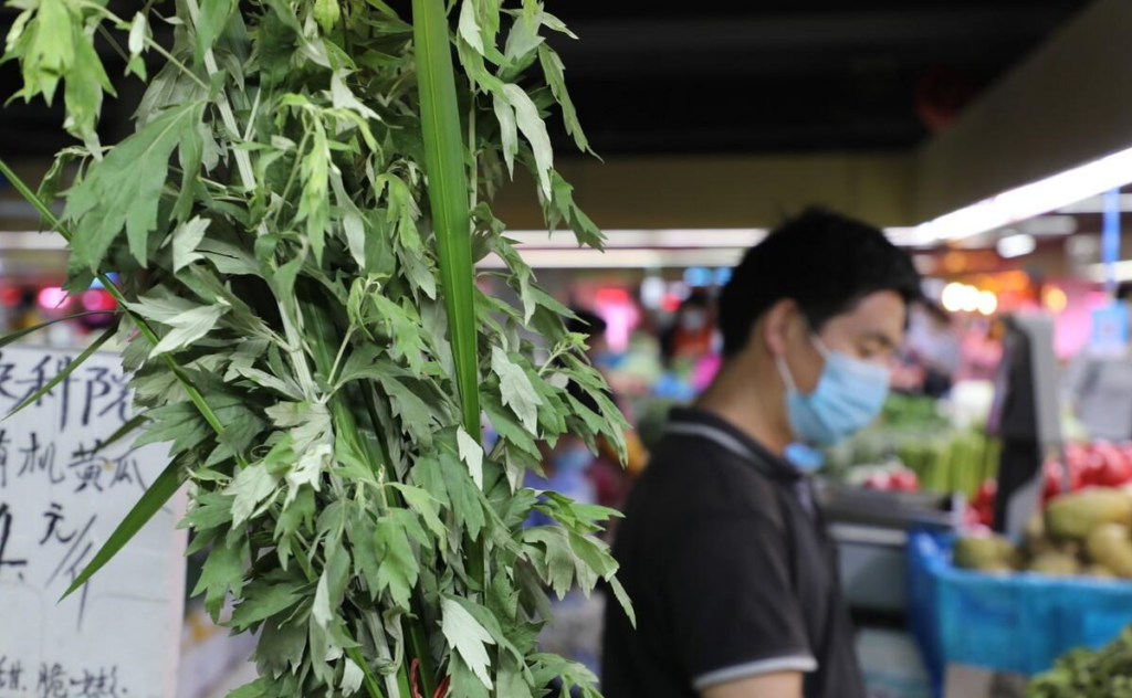 明日端午节，门上为啥要挂艾草？具体怎么挂？老传统有讲究