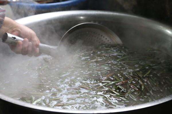 一枚比头发丝还细的黑洞,如何杀死一个人?