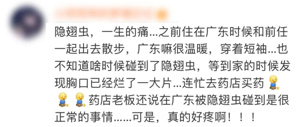 注意！这种飞虫落身上，千万不要随意拍打，可能“毁容”