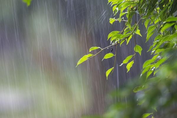 下雨天为什么睡得更香？到底什么原理？