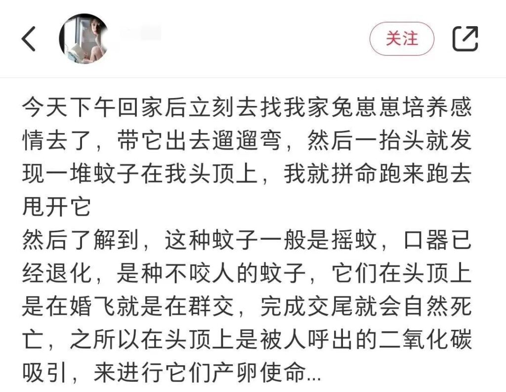 我都秃了,蚊子竟然有头发